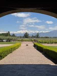 Que hacer en Mendoza - vista de bodega 