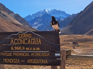 Parque Aconcagua, montaña en Mendoza